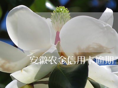 安徽农金信用卡逾期二十天 安徽农金信用卡逾期二十天