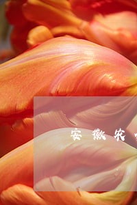 安徽农金信用卡逾期半年了 安徽农金信用卡逾期半年了