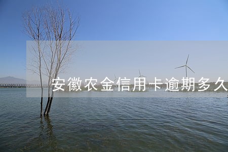 安徽农金信用卡逾期多久影响征信 安徽农金信用卡逾期多久影响征信