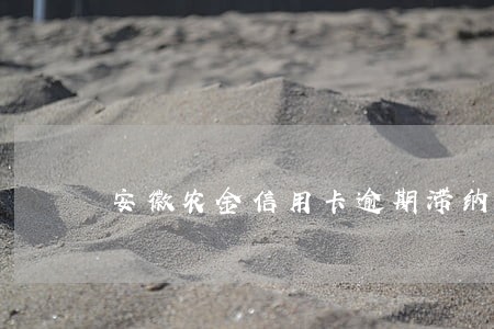 安徽农金信用卡逾期滞纳金是多少