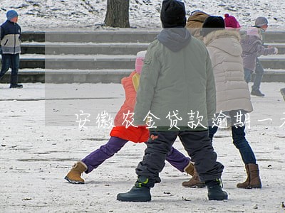 安徽农金贷款逾期一天 安徽农金贷款逾期一天