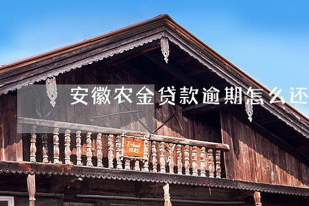 安徽农金贷款逾期怎么还进去 安徽农金贷款逾期怎么还进去