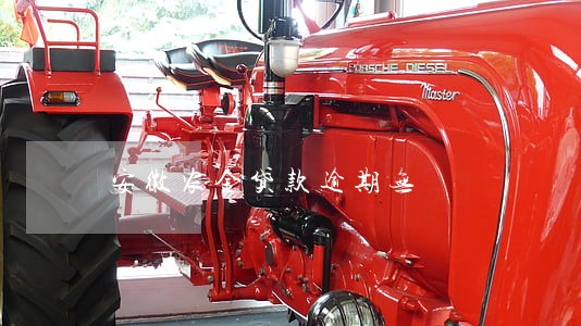 安徽农金贷款逾期无 安徽农金贷款逾期无