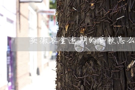 安徽农金逾期的贷款怎么还 安徽农金逾期的贷款怎么还