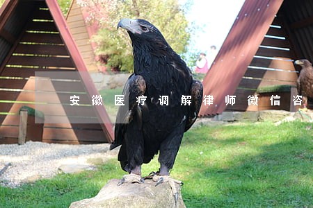安徽医疗调解律师微信咨询 安徽医疗调解律师微信咨询