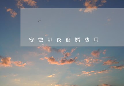 安徽协议离婚费用 安徽协议离婚费用