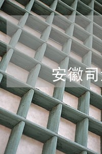 安徽司法为民好榜样 安徽司法为民好榜样