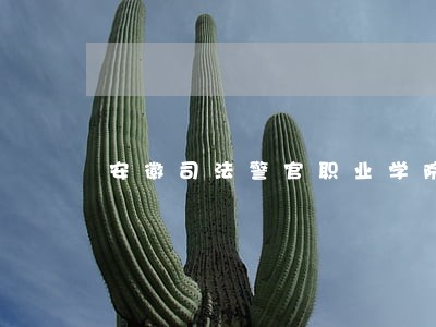 安徽司法警官职业学院 安徽司法警官职业学院