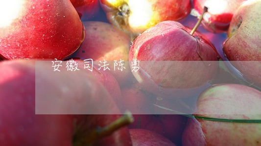 安徽司法陈勇 安徽司法陈勇