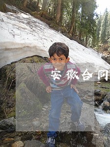 安徽合同律师欢迎询价 安徽合同律师欢迎询价