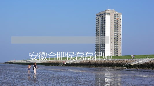 安徽合肥侯磊磊律师 安徽合肥侯磊磊律师