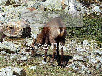 安徽合肥医疗诉讼律师收费 安徽合肥医疗诉讼律师收费