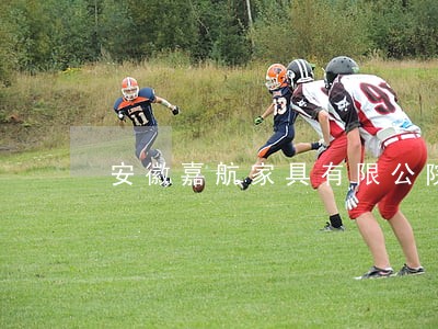 安徽嘉航家具有限公院审理