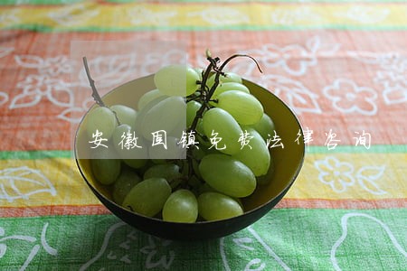 安徽固镇免费法律咨询