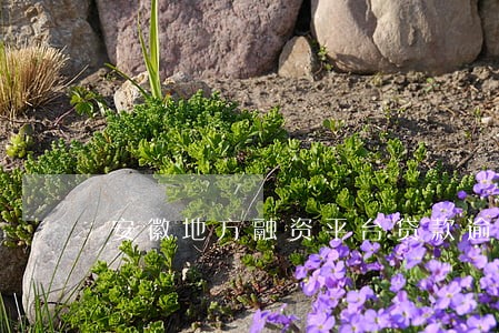 安徽地方融资平台贷款逾期 安徽地方融资平台贷款逾期