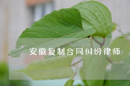 安徽复制合同纠纷律师 安徽复制合同纠纷律师