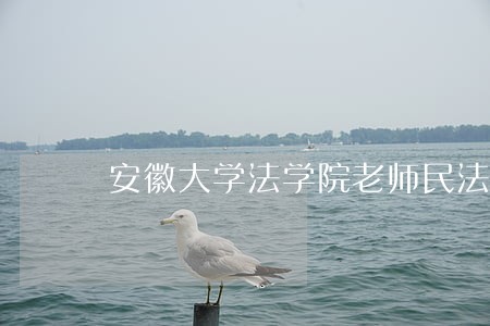 安徽大学法学院老师民法