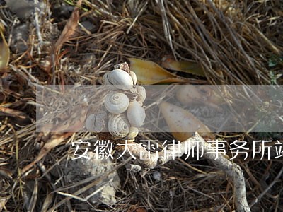 安徽大雷律师事务所竭诚为您服务 安徽大雷律师事务所竭诚为您服务