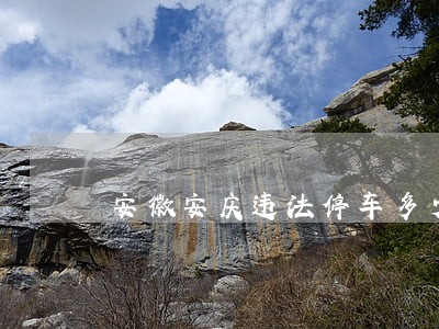 安徽安庆违法停车多少钱 安徽安庆违法停车多少钱