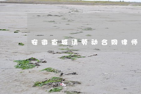 安徽宣城请劳动合同律师 安徽宣城请劳动合同律师