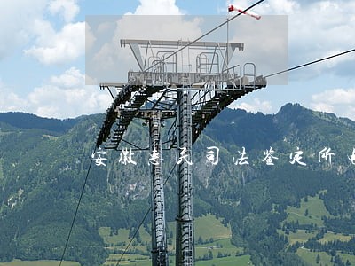 安徽惠民司法鉴定所电话 安徽惠民司法鉴定所电话