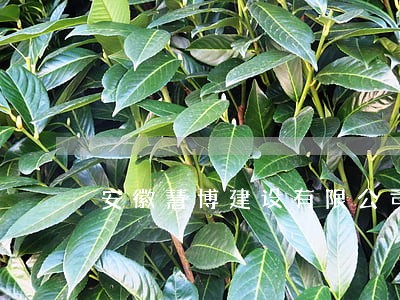 安徽慧博建设有限公司司法冻结 安徽慧博建设有限公司司法冻结