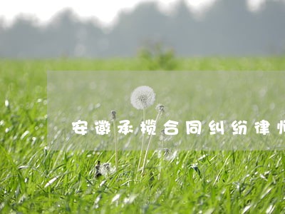 安徽承揽合同纠纷律师 安徽承揽合同纠纷律师