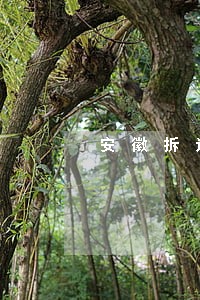 安徽拆迁律师咨询免费 安徽拆迁律师咨询免费