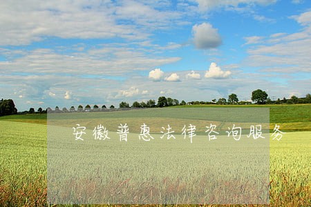 安徽普惠法律咨询服务