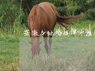 安徽本地婚姻律师推荐 安徽本地婚姻律师推荐