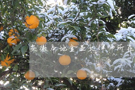 安徽本地金亚太律师所在哪里图文 安徽本地金亚太律师所在哪里图文