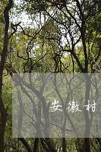 安徽村居法律顾问制度 安徽村居法律顾问制度