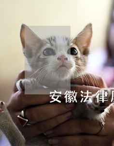 安徽法律顾问哪家靠谱 安徽法律顾问哪家靠谱