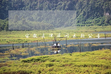 安徽法律顾问采购公告 安徽法律顾问采购公告