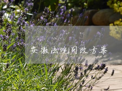 安徽法院司改方案 安徽法院司改方案