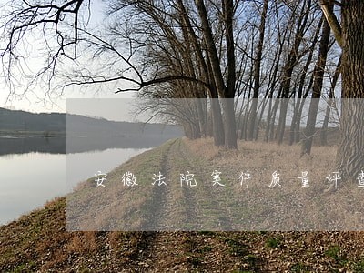 安徽法院案件质量评查