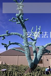 安徽法院江淮风暴动员讲话稿 安徽法院江淮风暴动员讲话稿