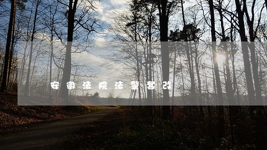 安徽法院法警套改 安徽法院法警套改