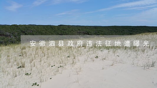 安徽泗县政府违法征地遭曝光 安徽泗县政府违法征地遭曝光