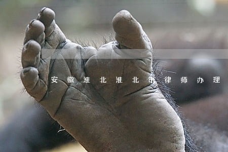 安徽淮北淮北市律师办理取保候审 安徽淮北淮北市律师办理取保候审