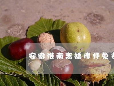 安徽淮南离婚律师免费咨 安徽淮南离婚律师免费咨