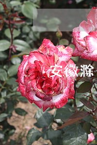安徽滁州建筑房产律师 安徽滁州建筑房产律师