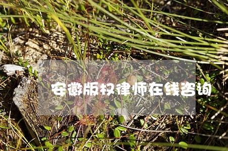 安徽版权律师在线咨询 安徽版权律师在线咨询