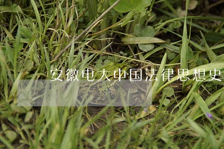 安徽电大中国法律思想史作业