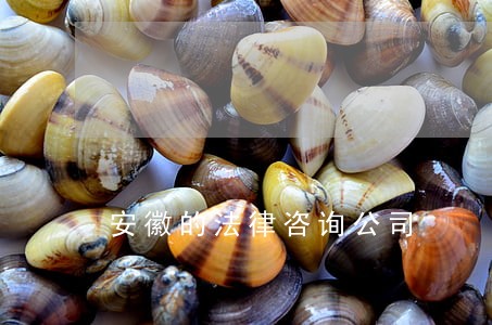 安徽的法律咨询公司 安徽的法律咨询公司
