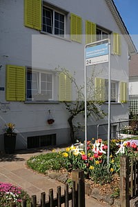 安徽省专业律师评定