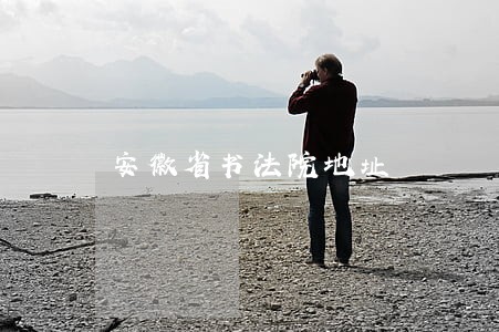 安徽省书法院地址