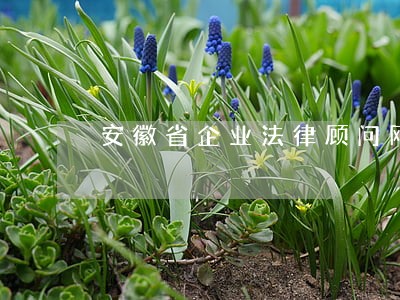 安徽省企业法律顾问网 安徽省企业法律顾问网