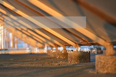 安徽省公司法律顾问 安徽省公司法律顾问