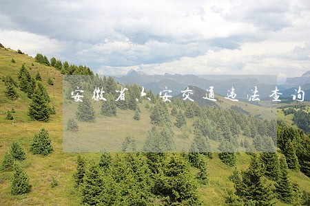 安徽省六安交通违法查询网 安徽省六安交通违法查询网